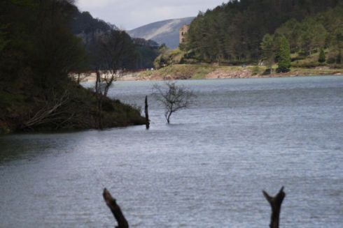 El Pantano de Alsa