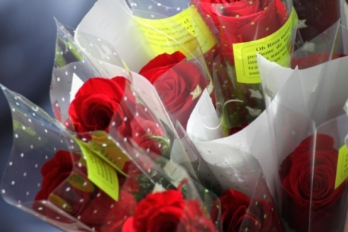 La Fiesta de La Rosa (2015)