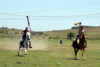 Concentracin caballar en Requejo