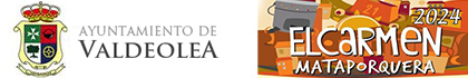 Ayuntamiento de Valdeolea