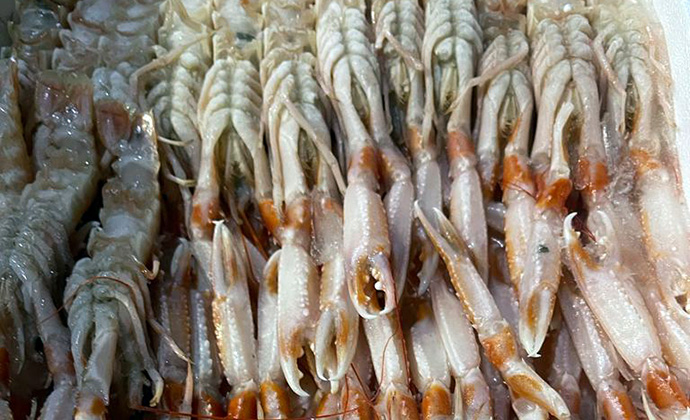 La Lonja de Reinosa