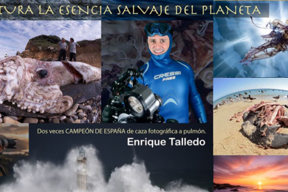 Abiertas las inscripciones para el Workshop de iniciaci�n a la Fotograf�a de Naturaleza