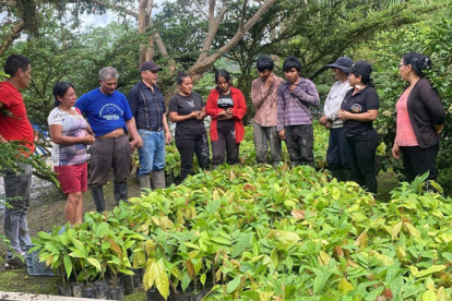El Ayuntamiento de Reinosa y la Fundaci�n Pacaso & Pacaso lanzan un programa de voluntariado en Ecuador