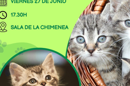 El Ayuntamiento de Reinosa organiza una charla sobre el mtodo CER en colonias felinas urbanas