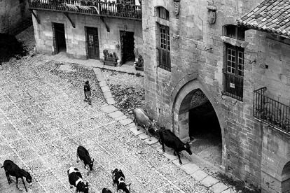 La Biblioteca Central de Cantabria acoge hasta septiembre la exposici�n 'Francisco Santamatilde (1926-2012) un fot�grafo �nico' 