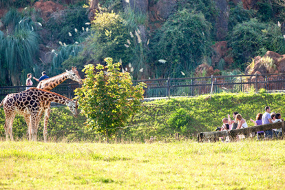 Cab�rceno entra en la Asociaci�n Mundial de Zoos y Acuarios