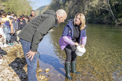 Cantabria impulsa la repoblaci�n de sus r�os con m�s de 23.000 huevas de trucha