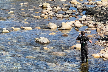 Cantabria levanta la suspensin temporal de la pesca en los tramos 'salmoneros' de los ros Asn, Pas, Nansa y Deva