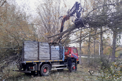 La Confederacin Hidrogrfica del Duero inicia la limpieza del cauce del Camesa y del arroyo de La Hoya a su paso por Mataporquera