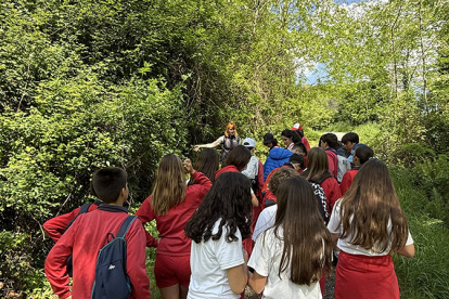Cultura ha impulsado a travs de la Fundacin Camino Lebaniego 44 actividades de educacin ambiental en 2025