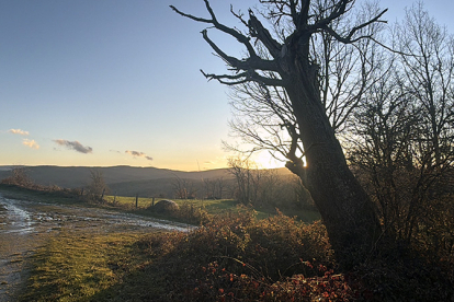 Desarrollo Rural convoca 1,2 millones en ayudas para que ayuntamientos con menos de 5.000 habitantes mejoren sus infraestructuras agrarias