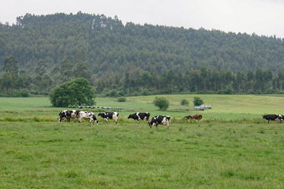 Desarrollo Rural convoca las ayudas de la Solicitud �nica para 2026 con una cuant�a total de 60 millones de euros