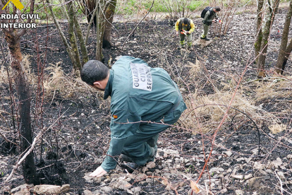 Detenido el presunto autor de 6 incendios forestales en Los Machucos