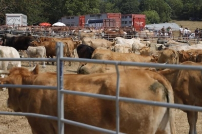 Da de feria en Espinilla