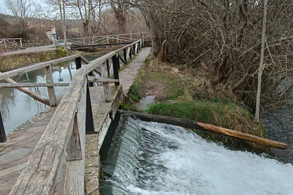 El Ebro nace en Campoo... pero el abandono tambi�n
