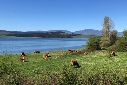 El Embalse del Ebro se acerca al 75% de su capacidad a finales de abril