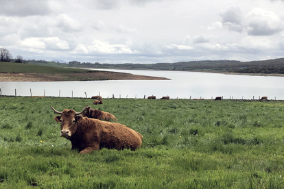 El Embalse supera el 43% de su capacidad