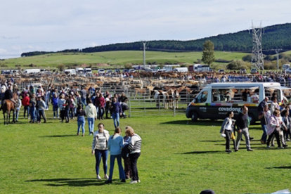 La enfermedad nodular contagiosa obliga a exigir un certificado a los ganaderos que participen este domingo en la Feria de Campoo de Enmedio en Requejo 