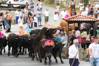 La fiesta de la tradicin se aduea de Abiada