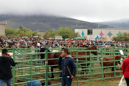 Ganaderos al Ferial