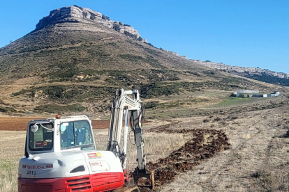 El Geoparque Las Loras recupera los setos naturales como alternativa y complemento a los cerramientos artificiales para el manejo del ganado