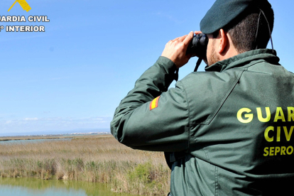La Guardia Civil investiga a dos personas por destruir nidos con cras de golondrinas y aviones zapadores