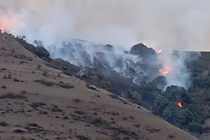 El incendio forestal originado sobre Aradillos, qued� controlado esta madrugada