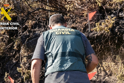 Investigado el presunto autor de dos delitos de incendios forestales en la Mancomunidad Campoo-Cabu�rniga
