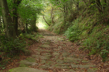 Manuel Garca Alonso imparte este lunes en La Casona de Reinosa la conferencia 'Etnoarqueologa en el corredor Ebro-Besaya'