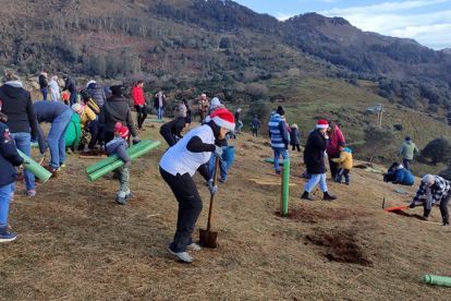 M�s de 300 voluntarios plantan 1.300 �rboles aut�ctonos en Cab�rceno