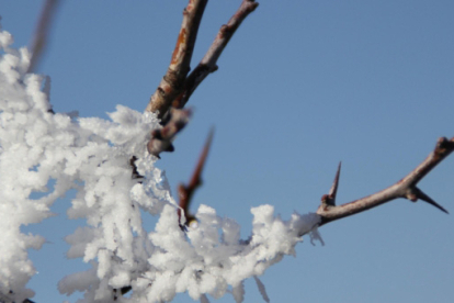 El mercurio se desploma en Nestares hasta los -7,7C, la segunda temperatura ms baja de Espaa