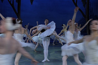 El Palacio de Festivales acoge este s�bado 'El lago de los cisnes'