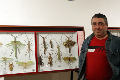 El planeta de los insectos coloniza La Casona
