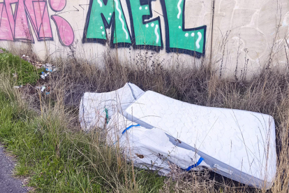 El Pleno de Enmedio reclama medidas para acabar con la acumulaci�n de basura en el acceso a Ca�eda