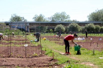 Reinosa comienza este martes la adjudicaci�n de los Huertos Urbanos Municipales
