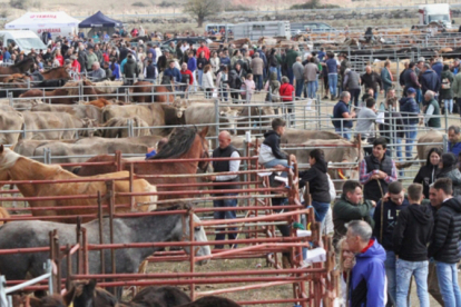 Requejo acoge este domingo la Feria ganadera de Campoo de Enmedio y la de productos agroalimentarios y artesanos