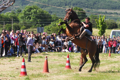 Salces festejar� a San Antonio con m�sica, tradiciones y actividades para todas las edades