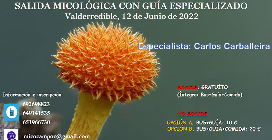 El 12 de junio, salida micolgica a Valderredible