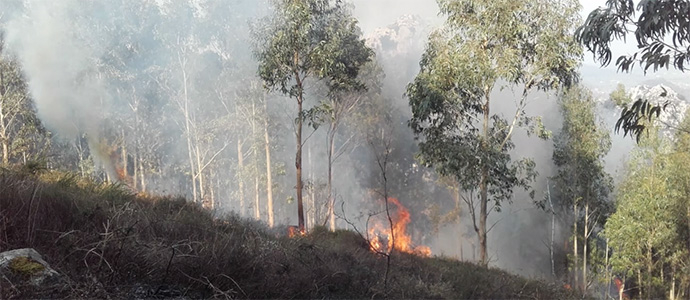 39 incendios han sido provocados desde la tarde de ayer y 23 permanecen activos