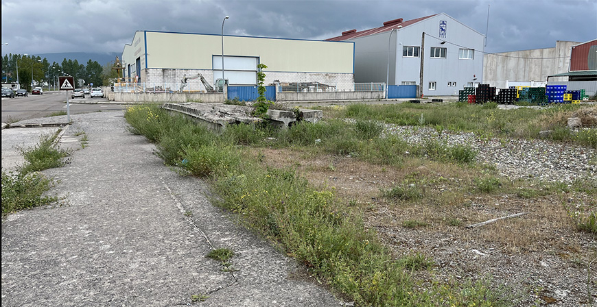 El abandonado polgono industrial de La Vega y otros aspectos locales