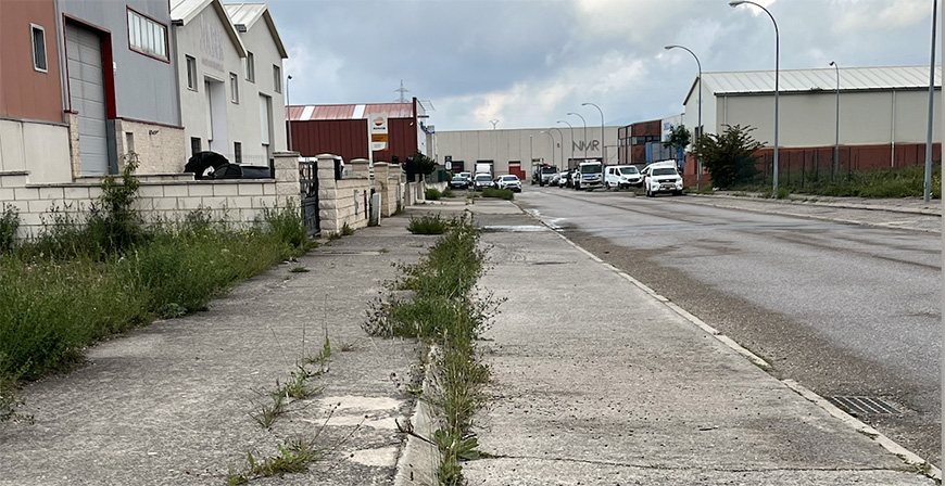 El abandonado polgono industrial de La Vega y otros aspectos locales