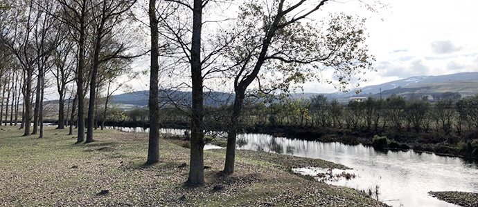 El acceso a Julibriga, el mirador de Villafra y el parque de La Riguera son las tres primeras reas degradadas de la base de datos de Campoo de Enmedio
