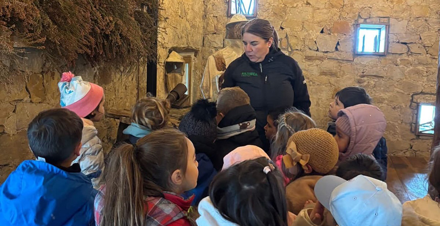 Un acercamiento al sector primario