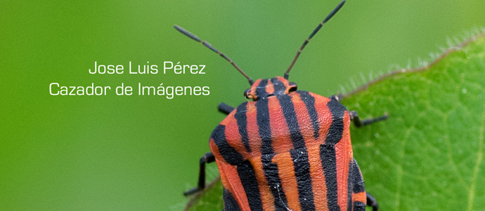 La ADT publica los ganadores de la Feria del Cazador de Imgenes