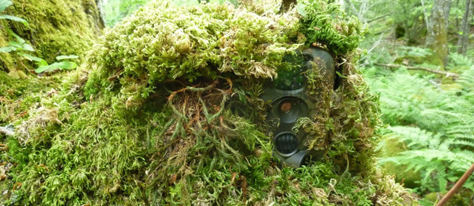 Los agentes del medio natural consideran que 