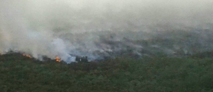 Los agentes de Montes extinguen el incendio de Palombera