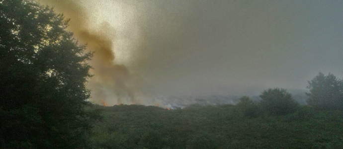 Los agentes de Montes extinguen el incendio de Palombera