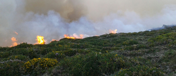Los agentes de Montes extinguen el incendio de Palombera