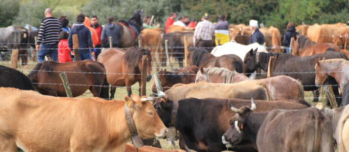 Aguayo celebra hoy su XXI Feria de Ganados