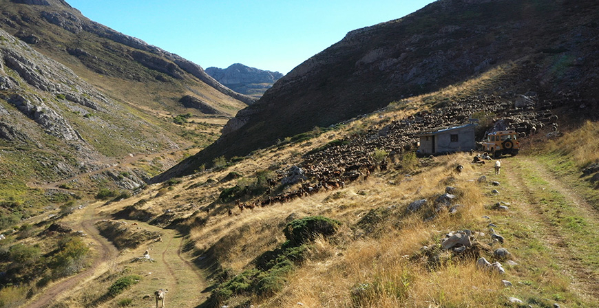El Aguilar Film Festival proyectar 21 trabajos que renen lo mejor del cortometraje en Castilla y Len